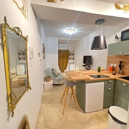 1 Intra-muros Avec Jardin Apartamento